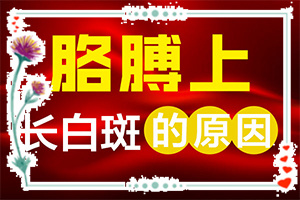 背上的白斑？白颠疯病初期是什么样的-症状看起来都是啥样子的